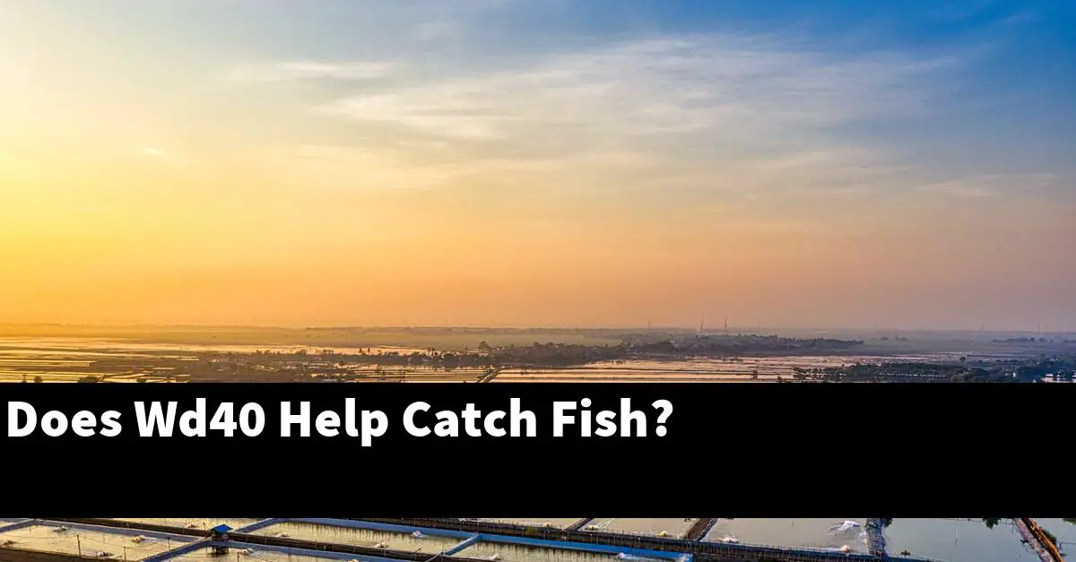 Does Wd40 Help Catch Fish?