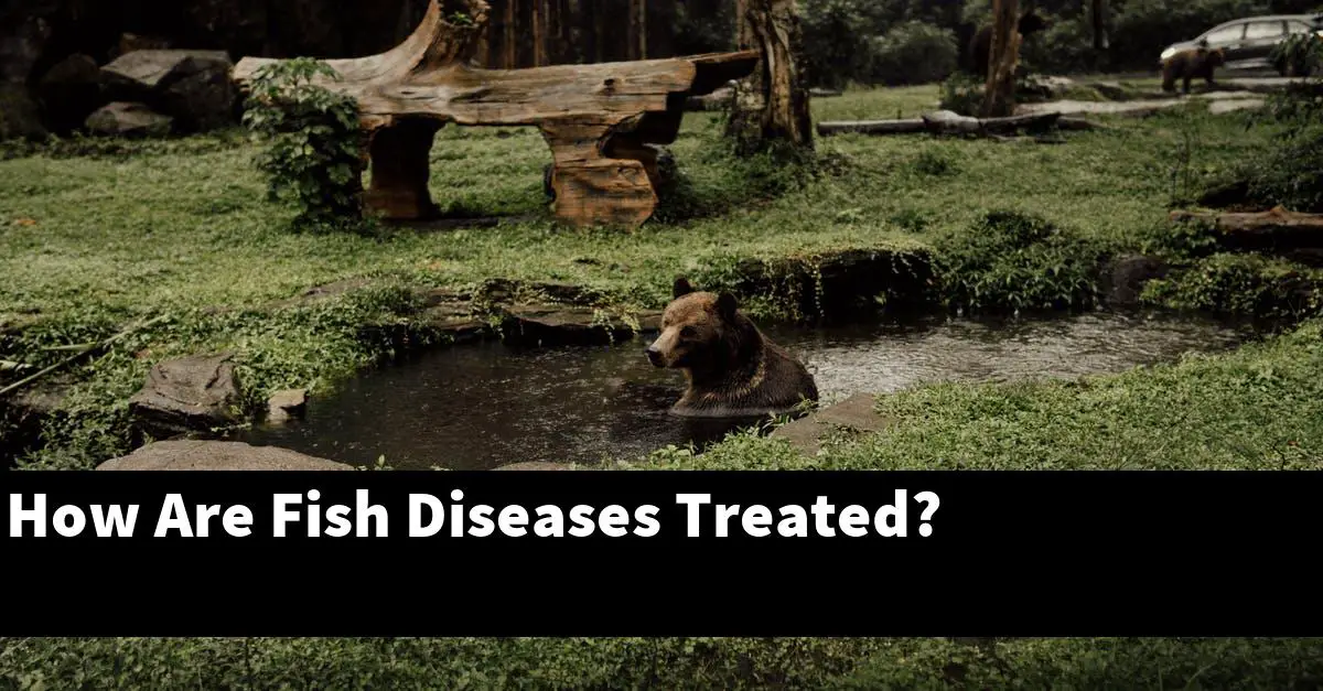 How Are Fish Diseases Treated?