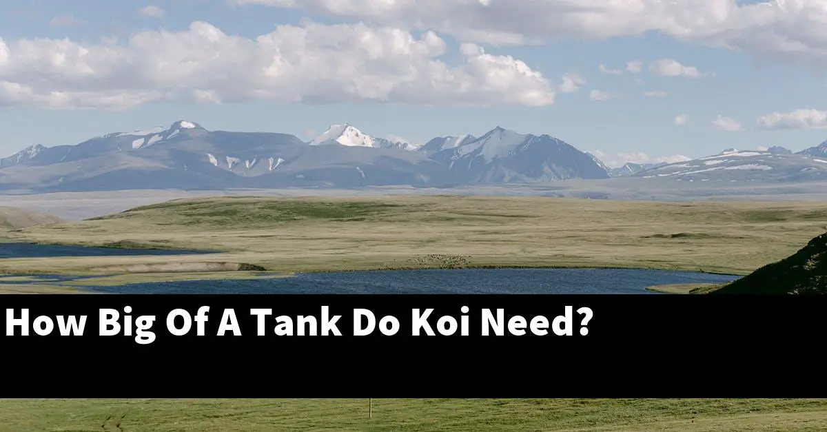 How Big Of A Tank Do Koi Need?