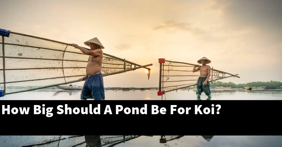 How Big Should A Pond Be For Koi?