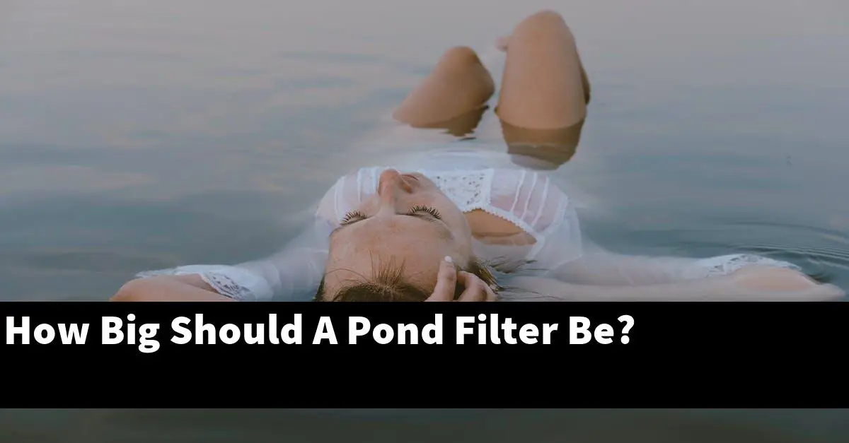 How Big Should A Pond Filter Be?