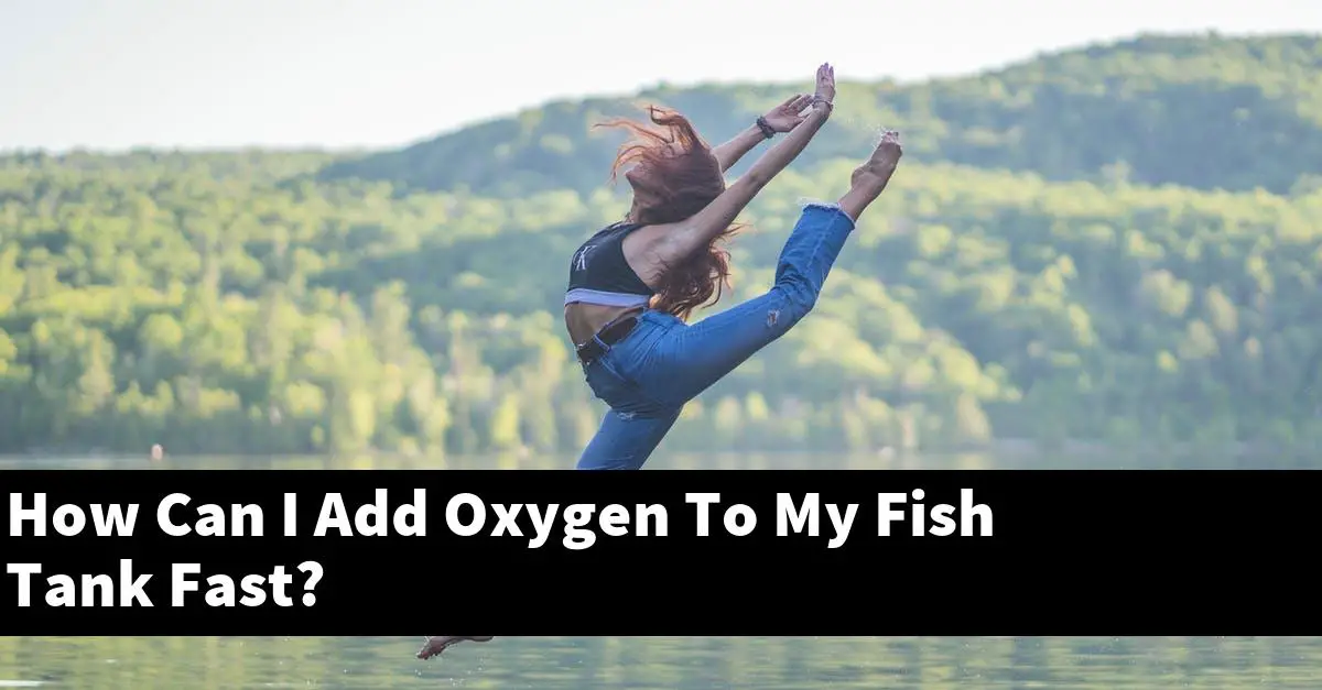 How Can I Add Oxygen To My Fish Tank Fast?