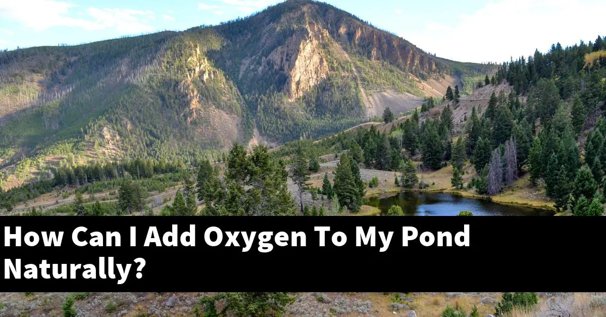 How Can I Add Oxygen To My Pond Naturally?