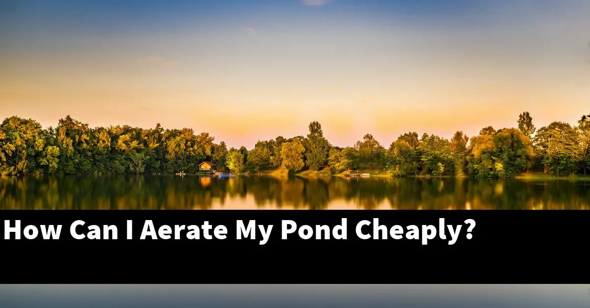 How Can I Aerate My Pond Cheaply?