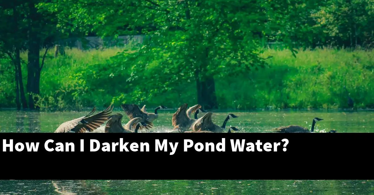 How Can I Darken My Pond Water?
