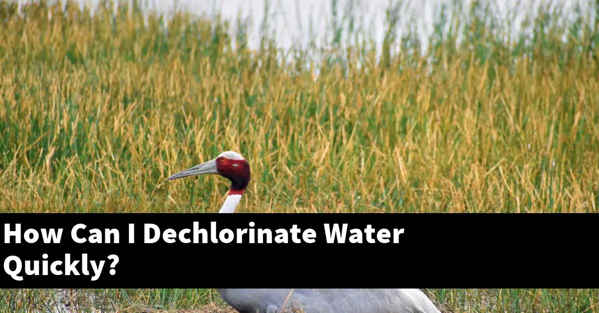 How Can I Dechlorinate Water Quickly?