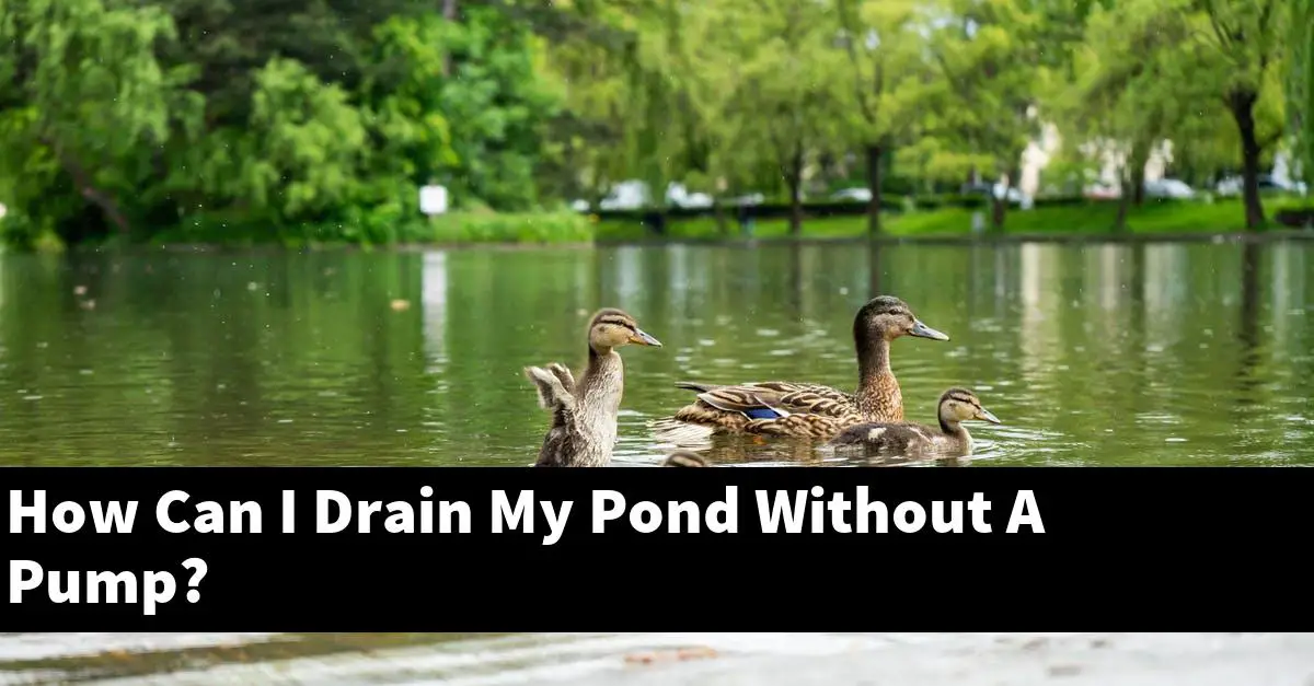 How Can I Drain My Pond Without A Pump?
