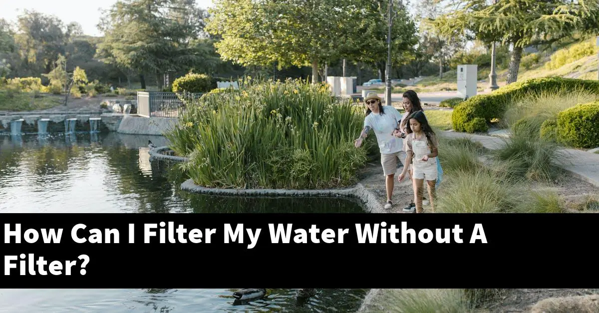 How Can I Filter My Water Without A Filter?
