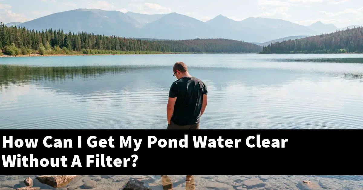 How Can I Get My Pond Water Clear Without A Filter?