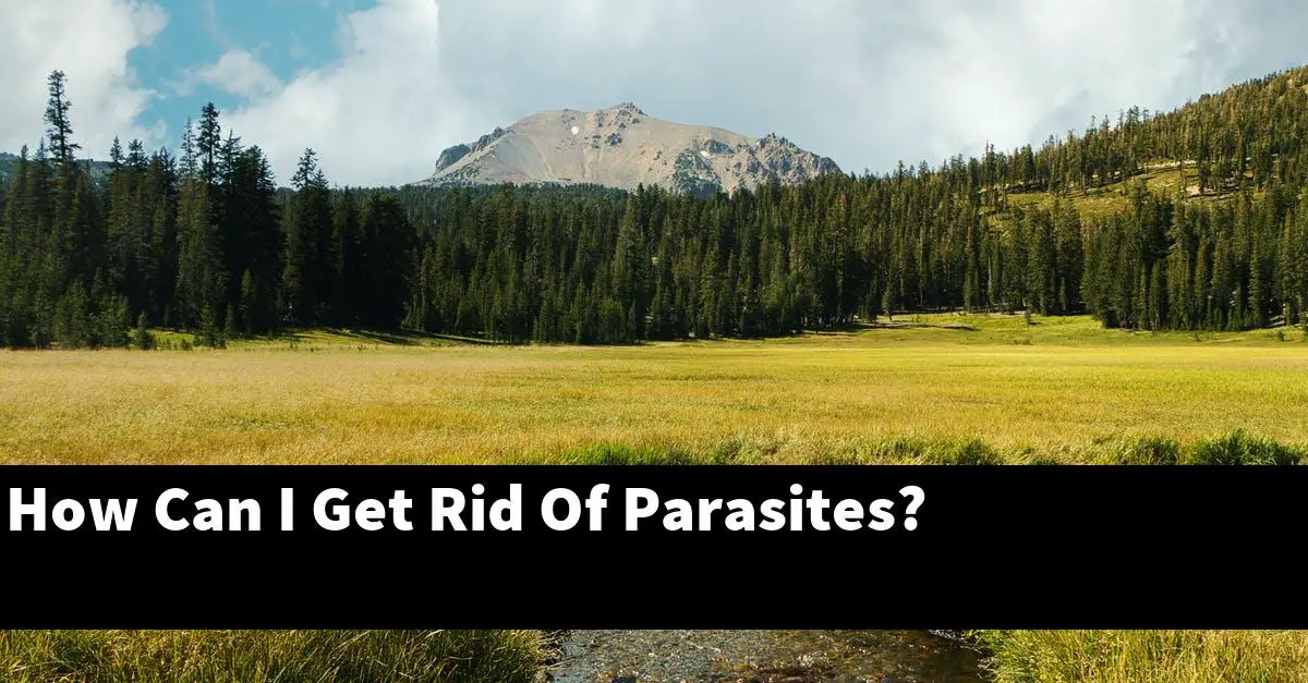 How Can I Get Rid Of Parasites?
