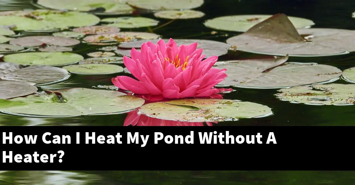How Can I Heat My Pond Without A Heater?
