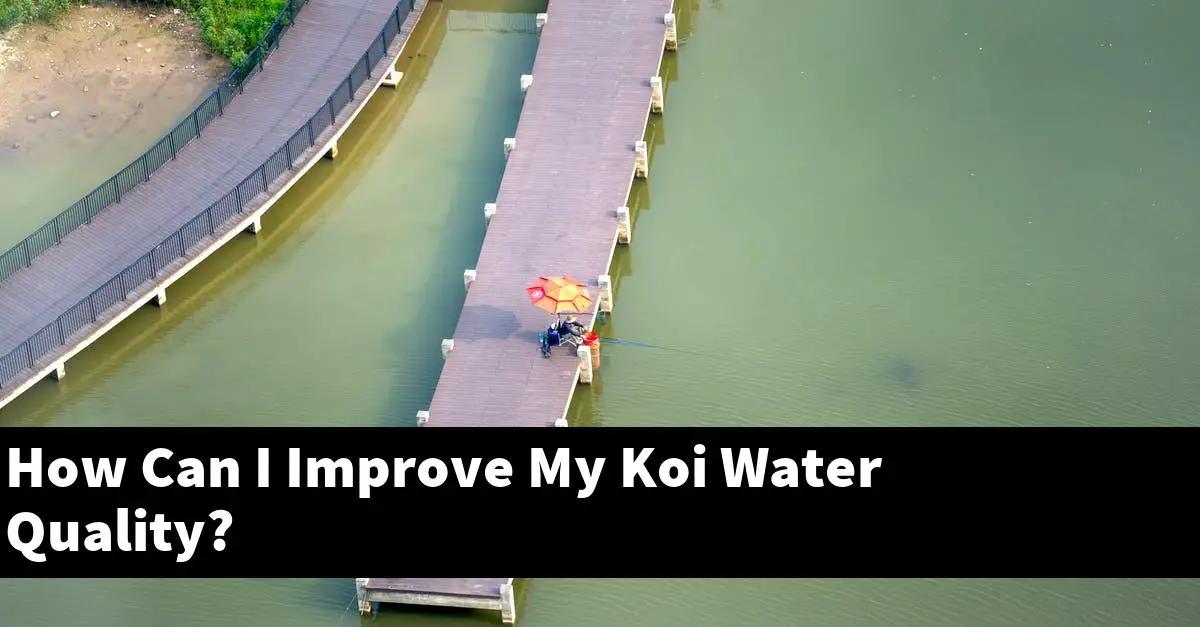 How Can I Improve My Koi Water Quality?