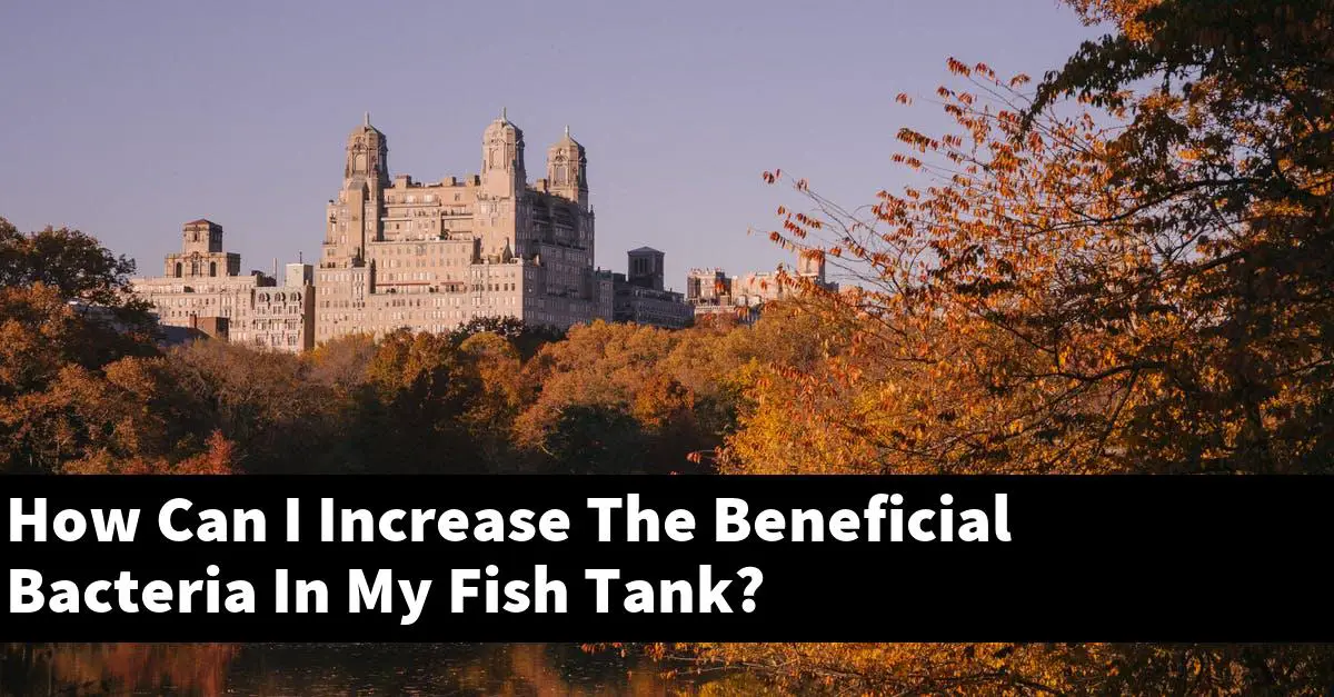 How Can I Increase The Beneficial Bacteria In My Fish Tank?