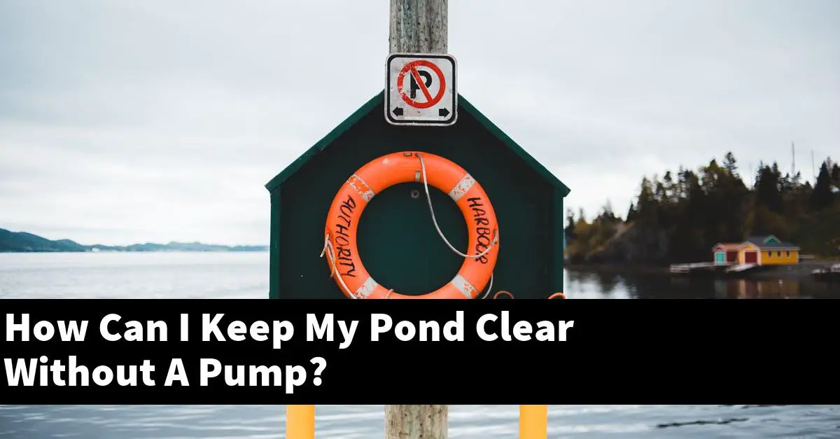 How Can I Keep My Pond Clear Without A Pump?