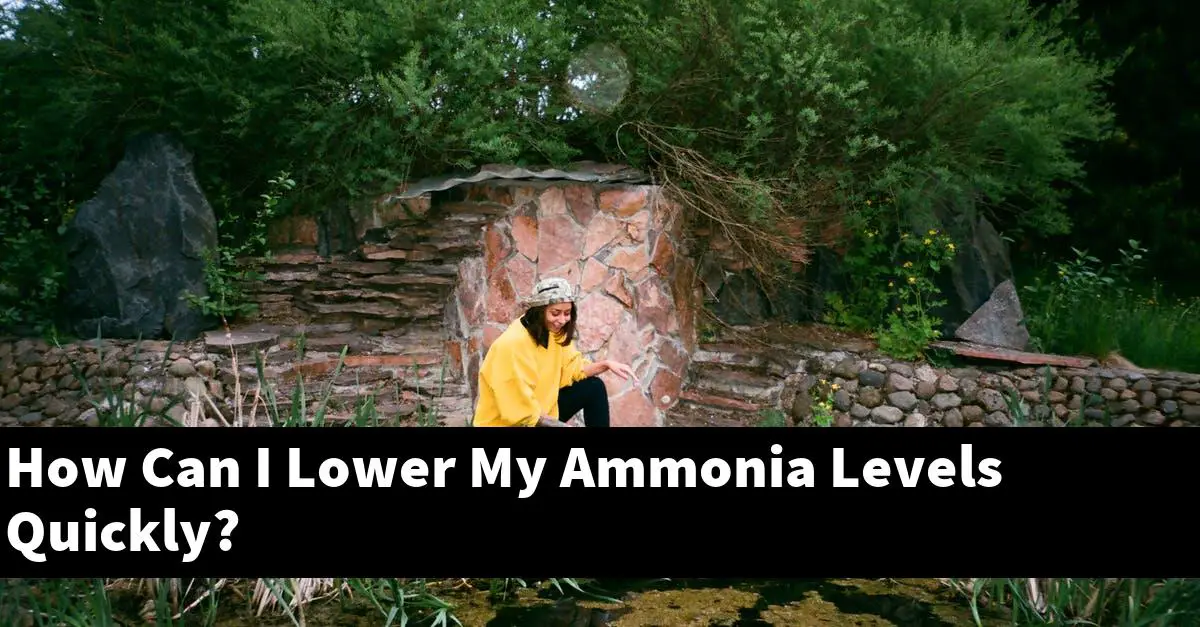 How Can I Lower My Ammonia Levels Quickly?