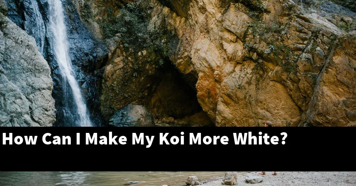 How Can I Make My Koi More White?