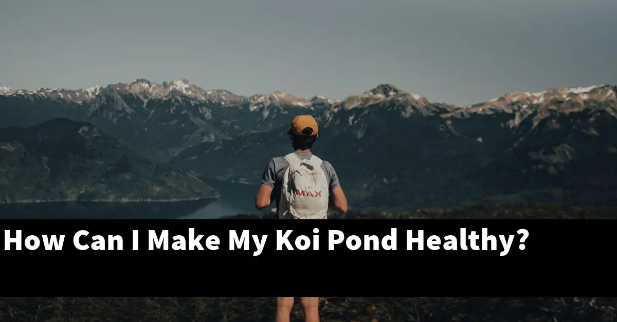 How Can I Make My Koi Pond Healthy?