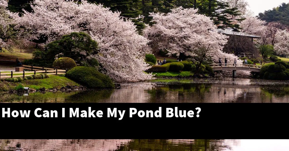 How Can I Make My Pond Blue?