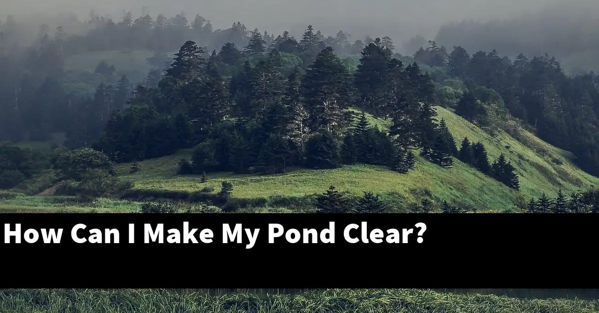 How Can I Make My Pond Clear?
