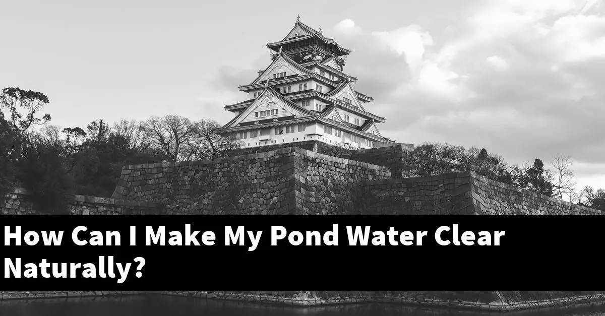 How Can I Make My Pond Water Clear Naturally?