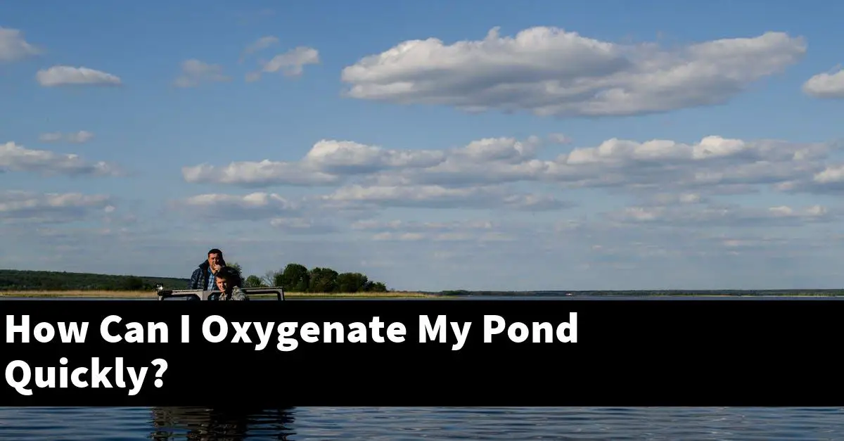How Can I Oxygenate My Pond Quickly?