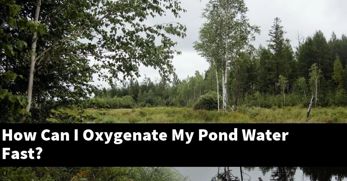 How Can I Oxygenate My Pond Water Fast?