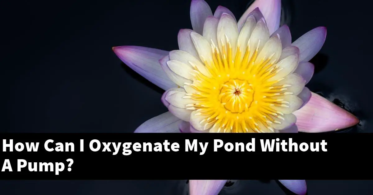 How Can I Oxygenate My Pond Without A Pump?