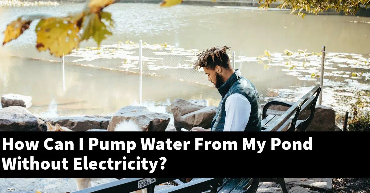 How Can I Pump Water From My Pond Without Electricity?