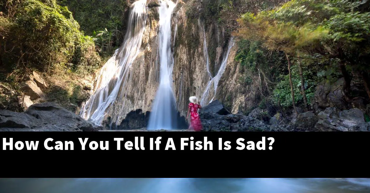 How Can You Tell If A Fish Is Sad?