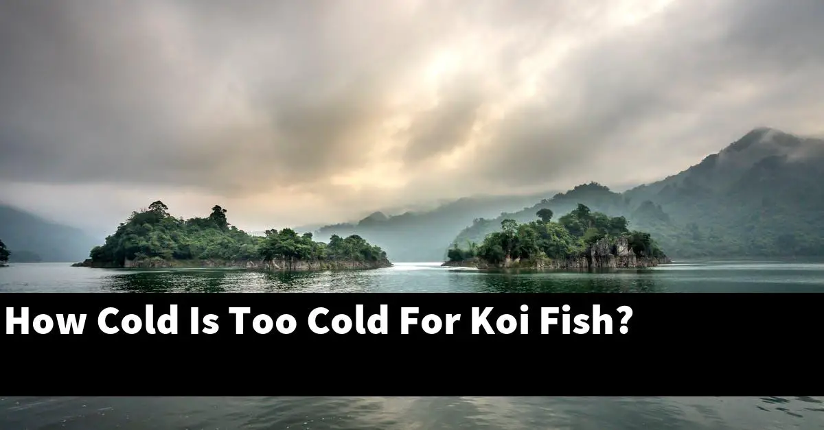 How Cold Is Too Cold For Koi Fish?