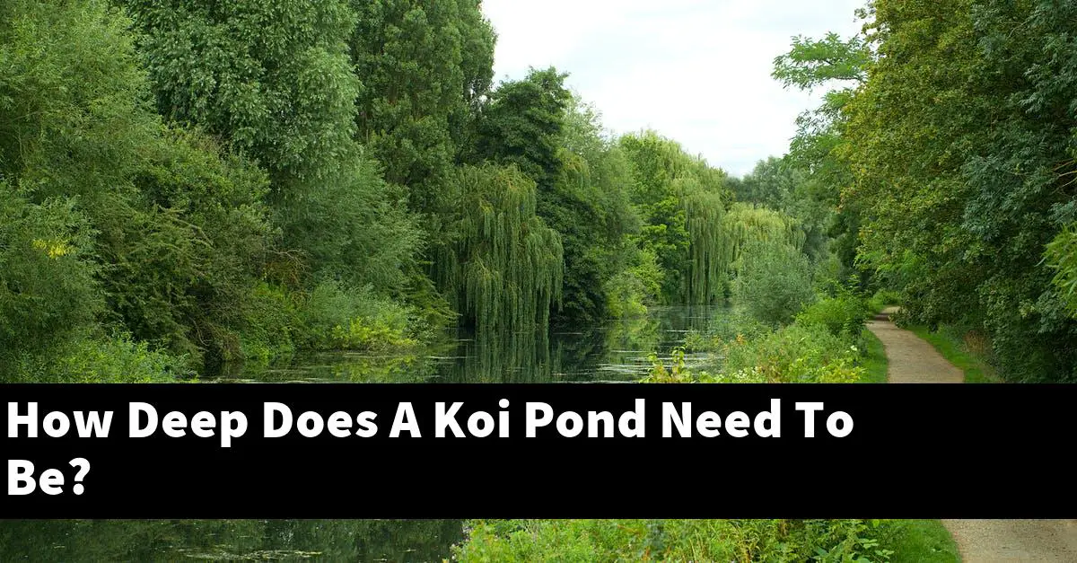 How Deep Does A Koi Pond Need To Be?