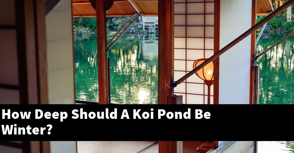 How Deep Should A Koi Pond Be Winter?