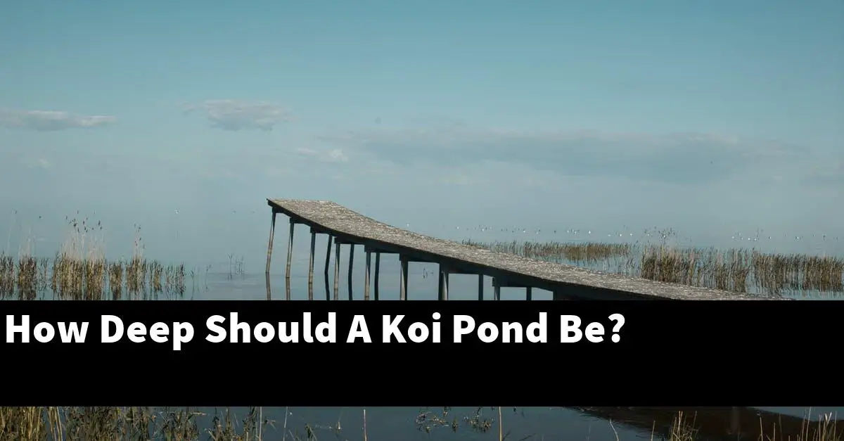 How Deep Should A Koi Pond Be?