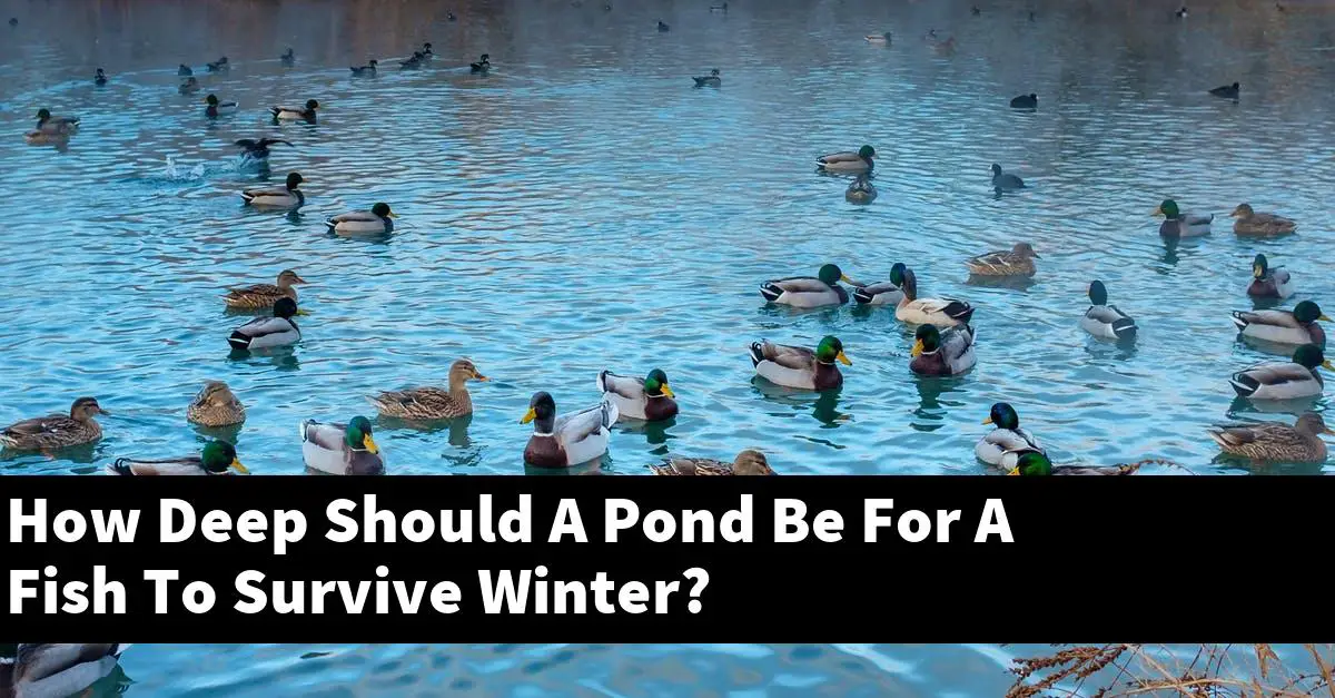 How Deep Should A Pond Be For A Fish To Survive Winter?
