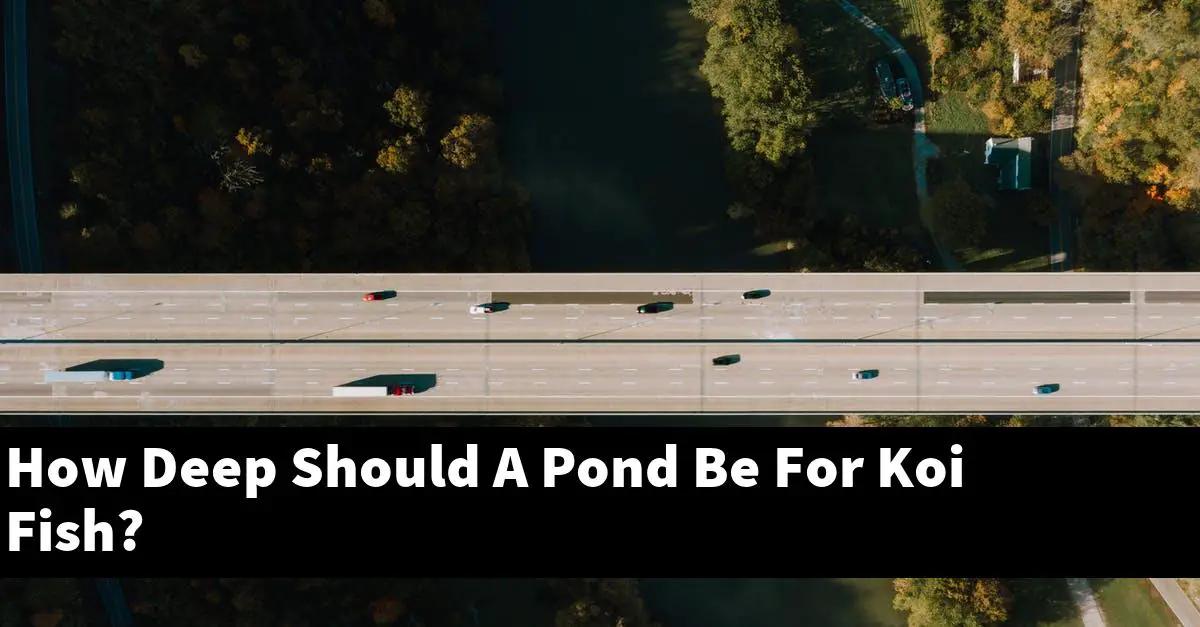 How Deep Should A Pond Be For Koi Fish?