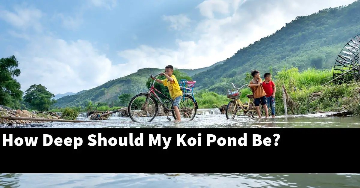 How Deep Should My Koi Pond Be?