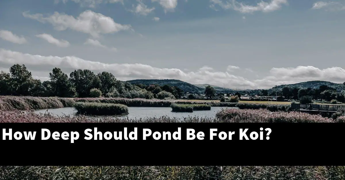 How Deep Should Pond Be For Koi?