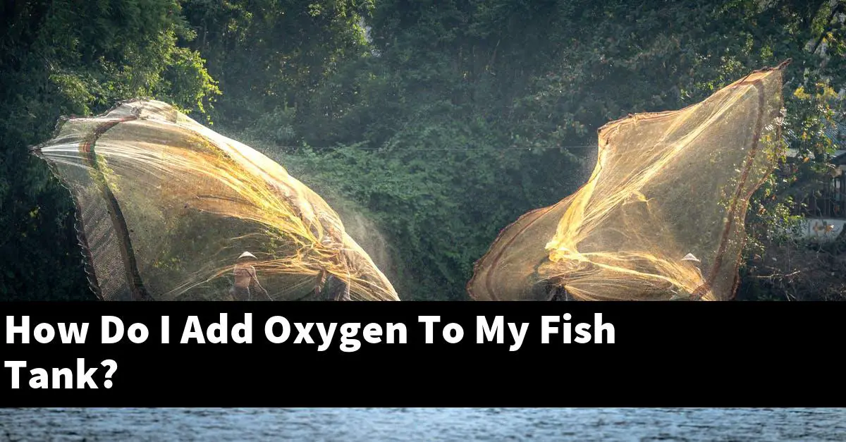 How Do I Add Oxygen To My Fish Tank?