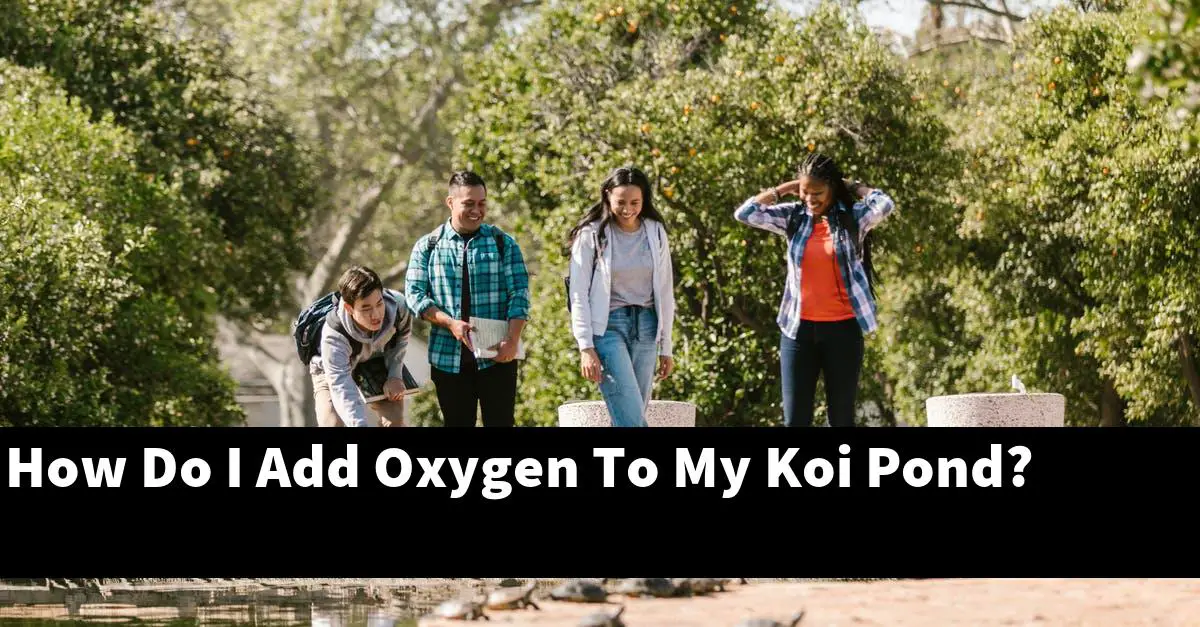 How Do I Add Oxygen To My Koi Pond?