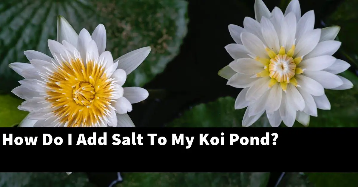 How Do I Add Salt To My Koi Pond?