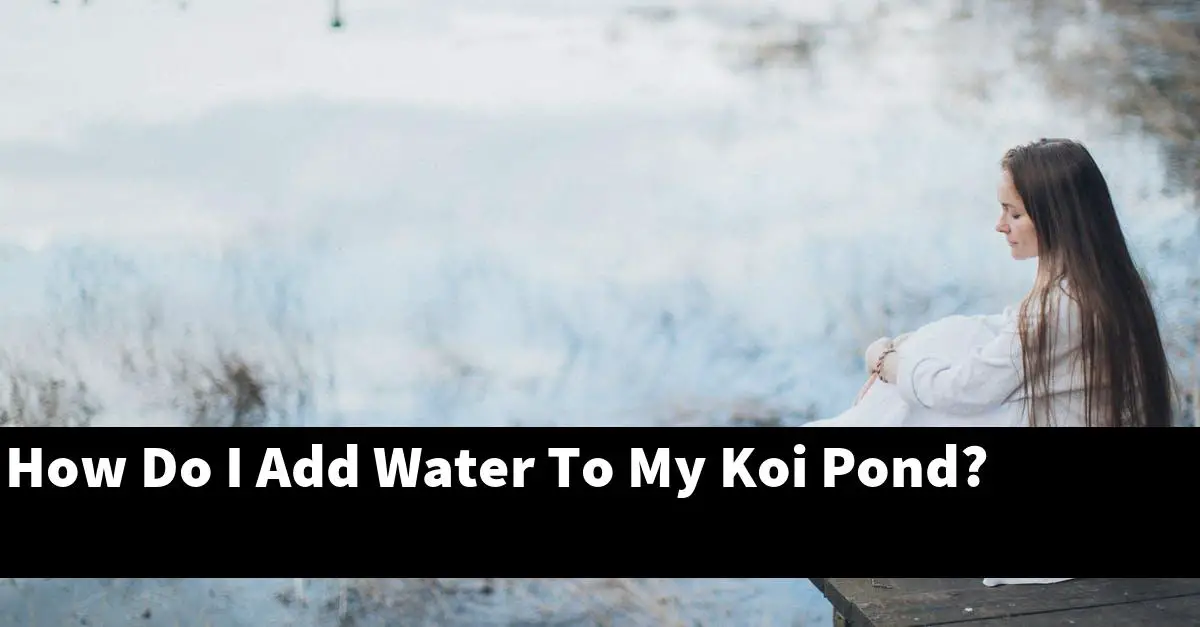 How Do I Add Water To My Koi Pond?