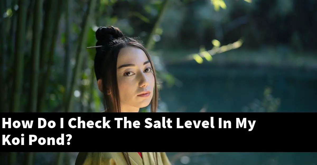 How Do I Check The Salt Level In My Koi Pond?