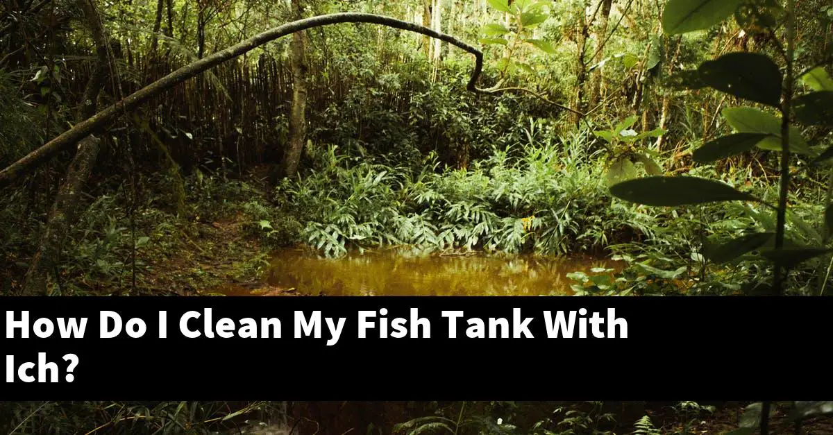 How Do I Clean My Fish Tank With Ich?
