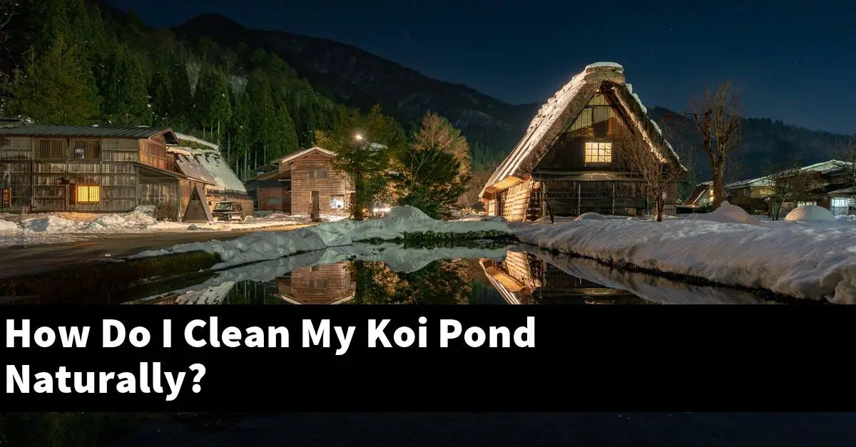 How Do I Clean My Koi Pond Naturally?