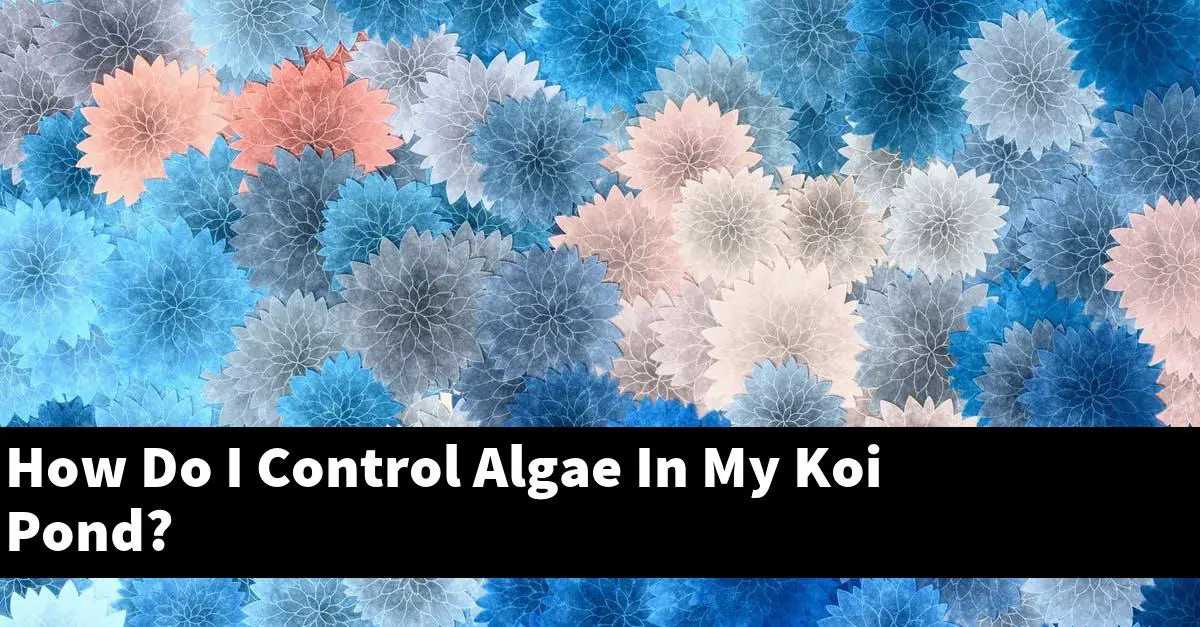 How Do I Control Algae In My Koi Pond?