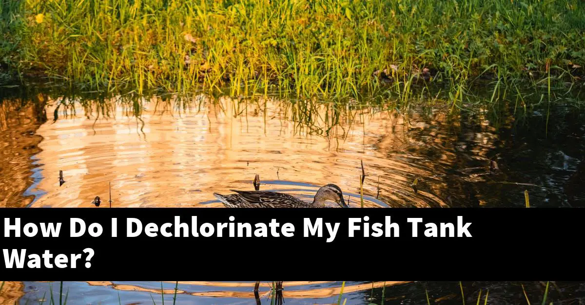 How Do I Dechlorinate My Fish Tank Water?