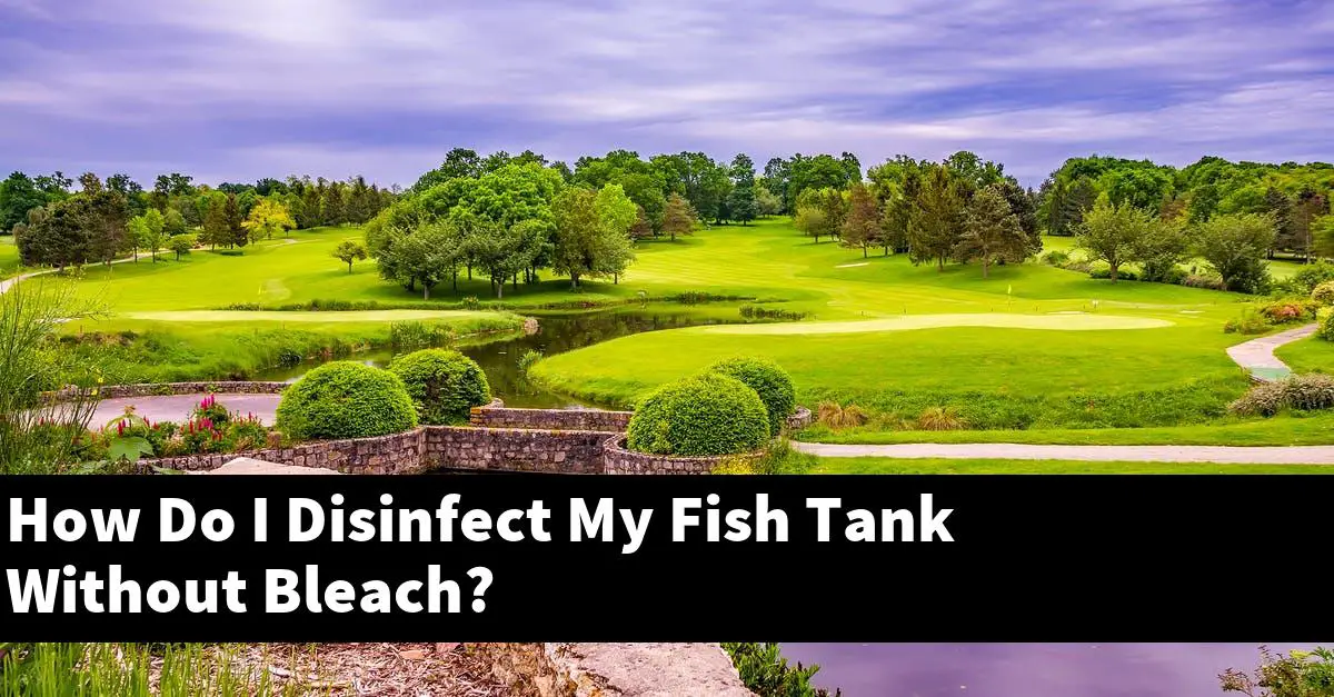 How Do I Disinfect My Fish Tank Without Bleach?