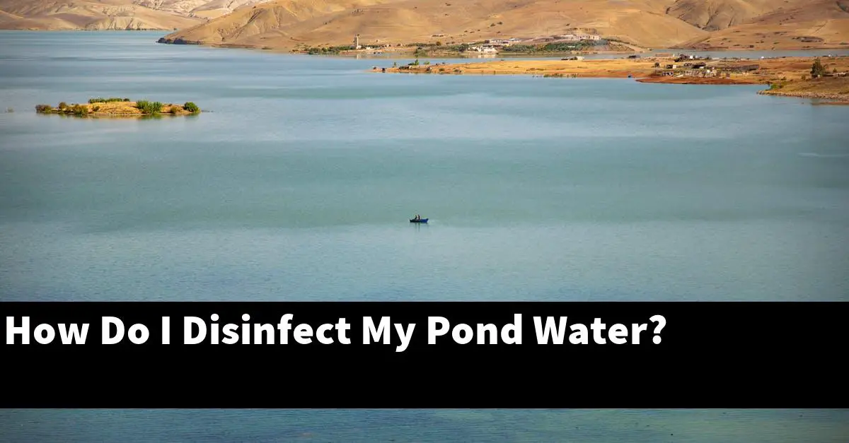 How Do I Disinfect My Pond Water?