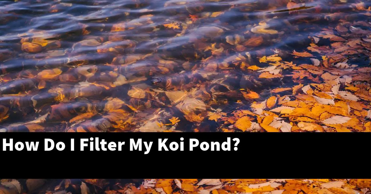 How Do I Filter My Koi Pond?