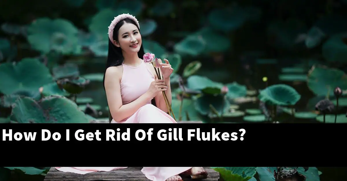 How Do I Get Rid Of Gill Flukes?